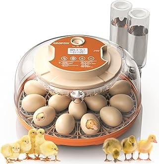 18 Egg Incubator, Automatic Turning with Temperature & Humidity Control, Egg Candler, 360 View with Air Vent, Auto Water Bottle Refill, Chicken Incubator for Hatching Eggs