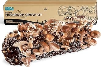Back to the Roots Organic Shiitake Mushroom Kit; Great Gift; Easy for Beginne...